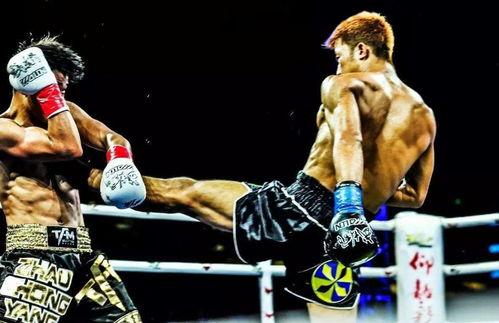 吃瓜娱乐拳击比赛直播在线观看,精彩拳击比赛，吃瓜娱乐一网打尽